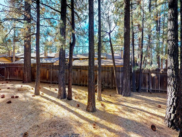 Big Bear Home 976137