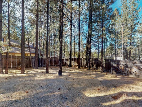 Big Bear Home 976137