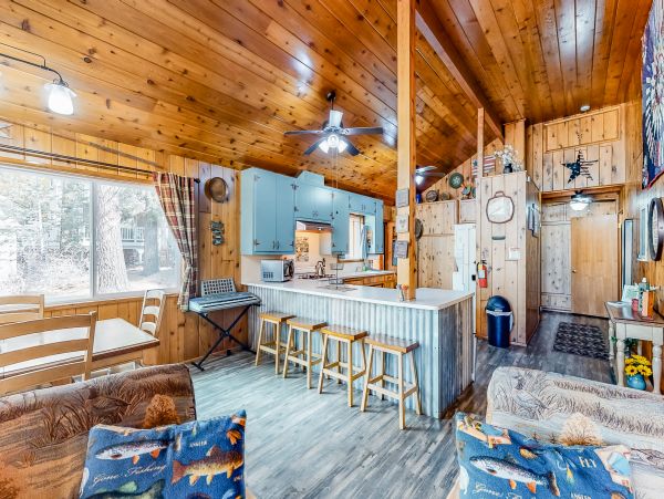 Big Bear Home 976139