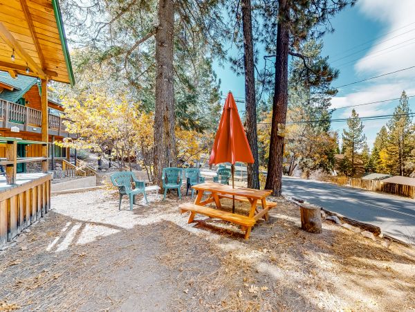 Big Bear Home 976139