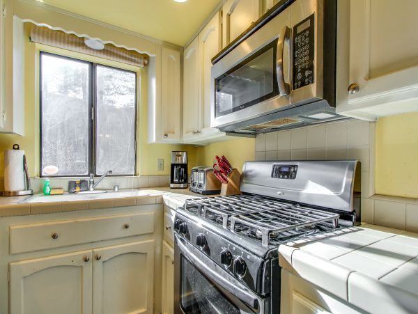 Big Bear Home 976141