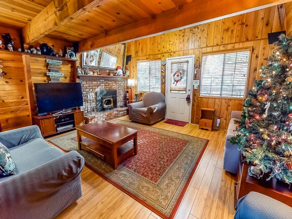 Big Bear Home 976142