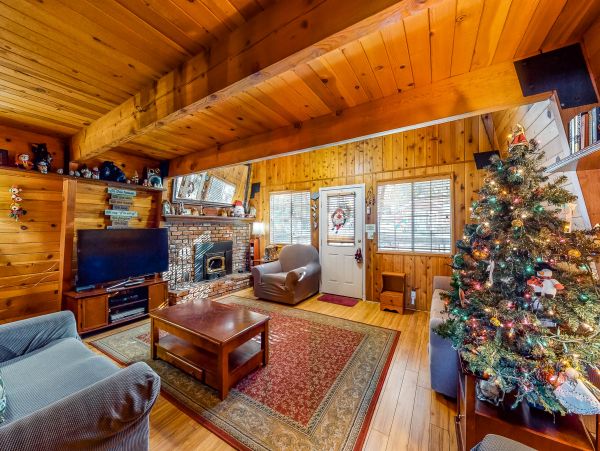 Big Bear Home 976142