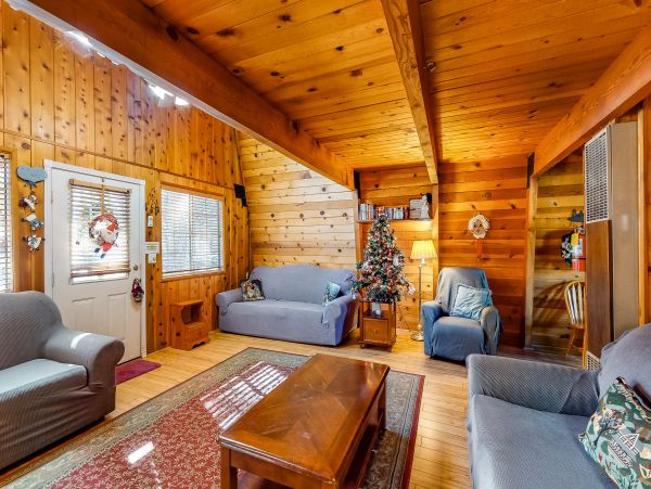 Big Bear Home 976142