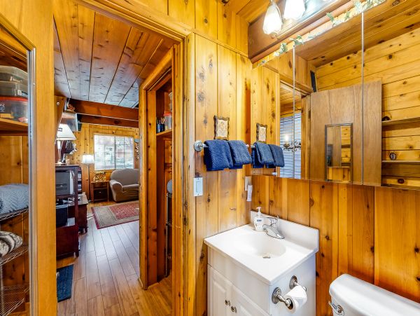Big Bear Home 976142
