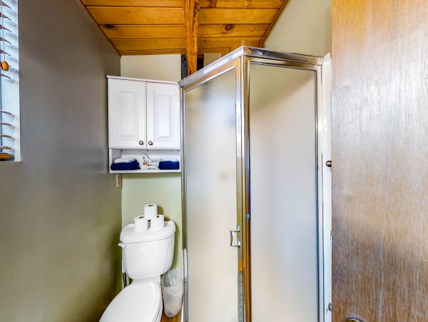 Big Bear Home 976142