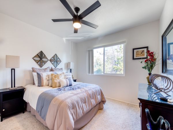 Big Bear Home 976143