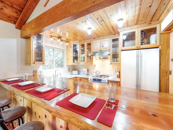 Big Bear Home 976144