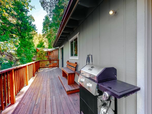 Big Bear Home 976144
