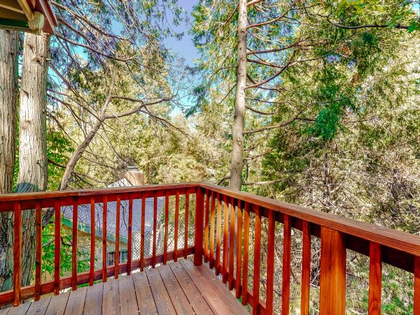 Big Bear Home 976144