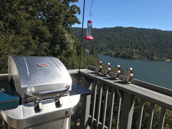 Big Bear Home 976145
