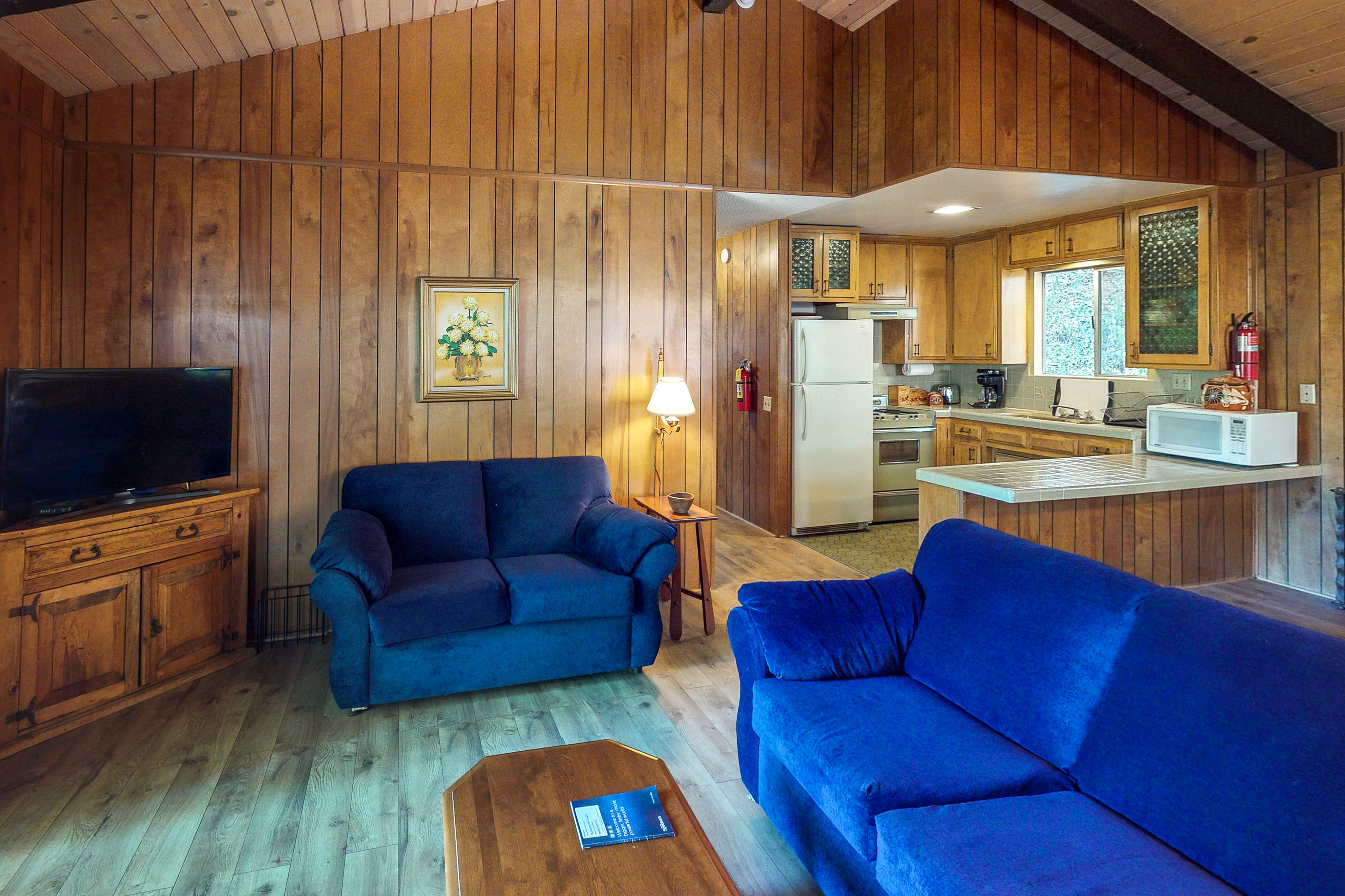 Big Bear Home 976146