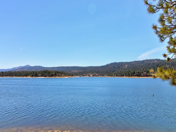 Big Bear Home 976148