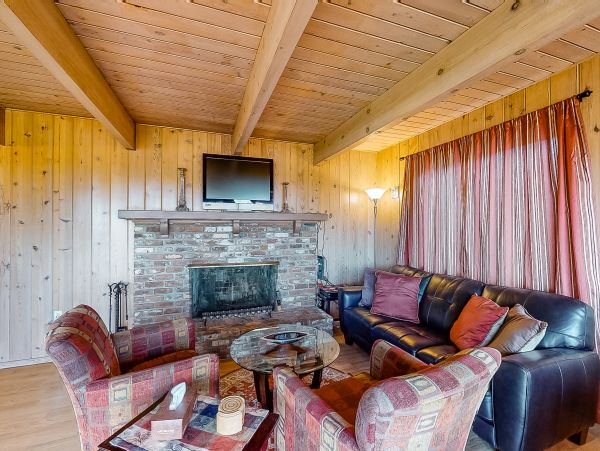 Big Bear Home 976152