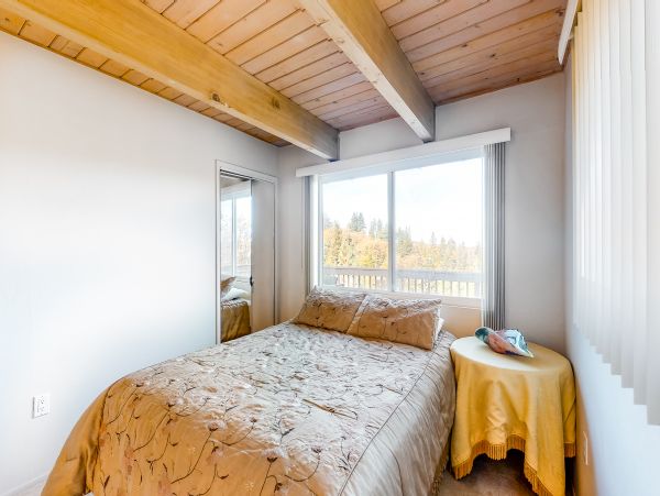 Big Bear Home 976152