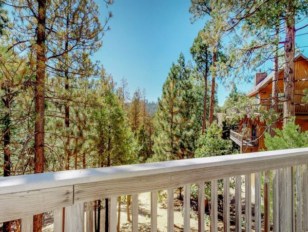 Big Bear Home 976153