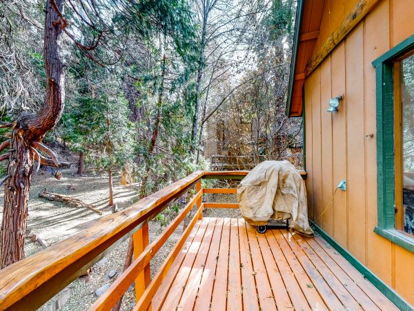 Big Bear Home 976155