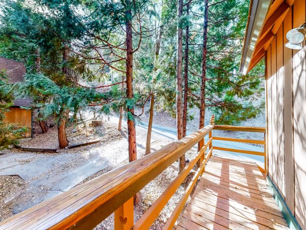 Big Bear Home 976155