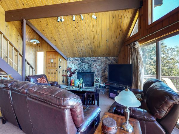 Big Bear Home 976156