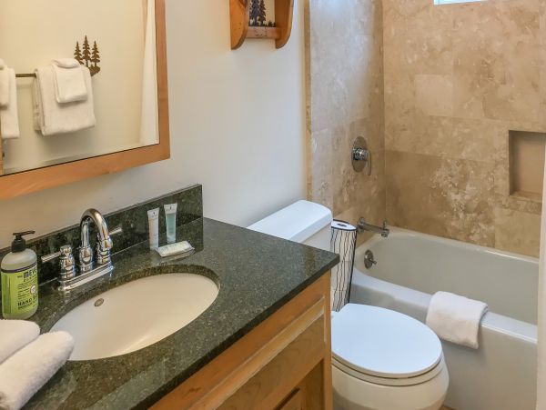 Big Bear Home 976157