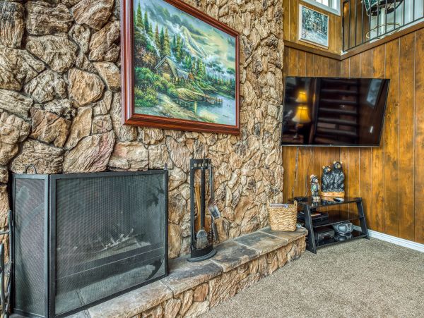 Big Bear Home 976158