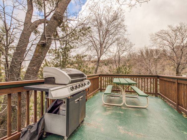 Big Bear Home 976158