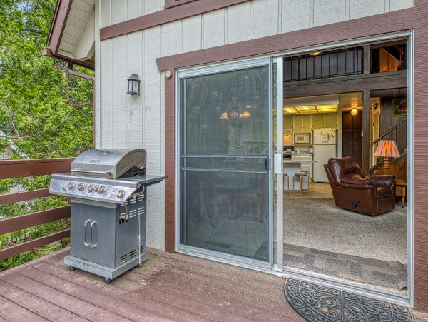 Big Bear Home 976159