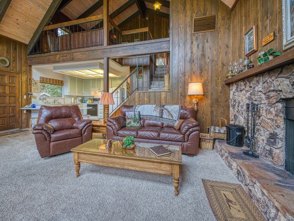 Big Bear Home 976159