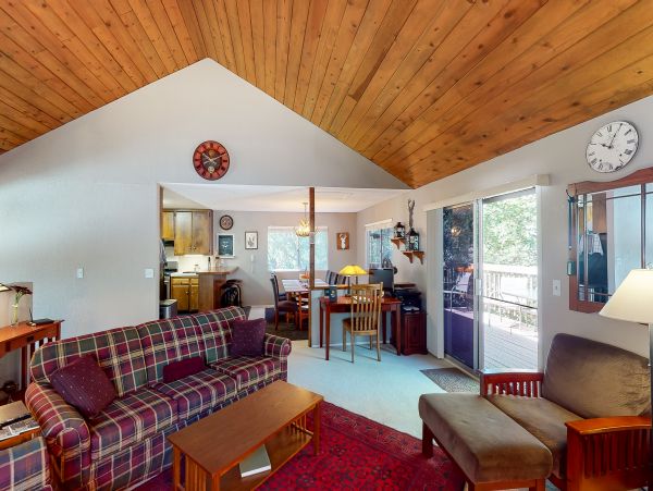 Big Bear Home 976164