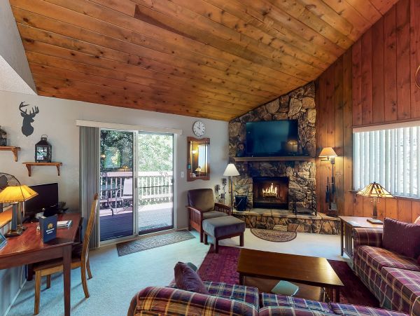 Big Bear Home 976164