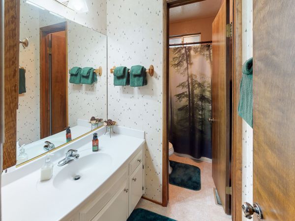 Big Bear Home 976164