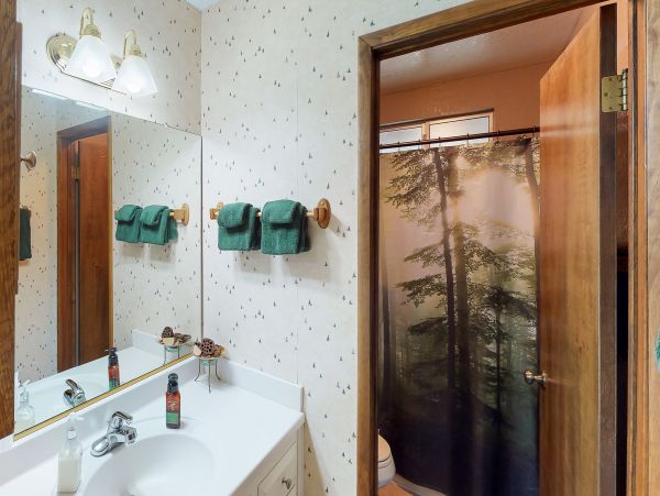 Big Bear Home 976164