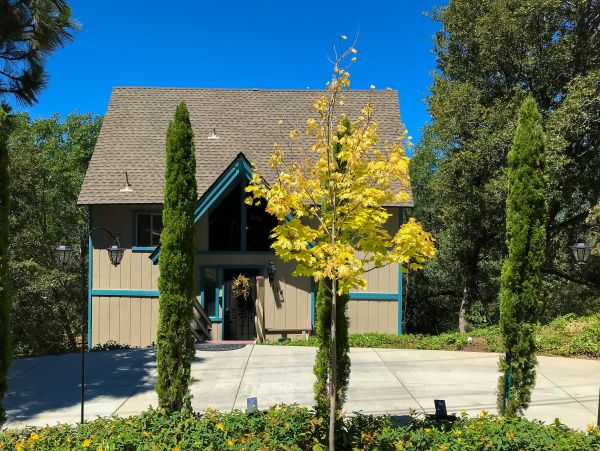 Big Bear Home 976164