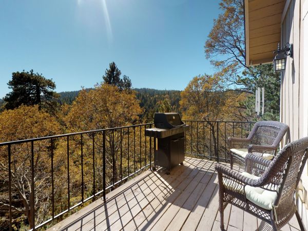 Big Bear Home 976165