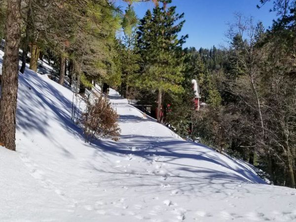 Big Bear Home 976165
