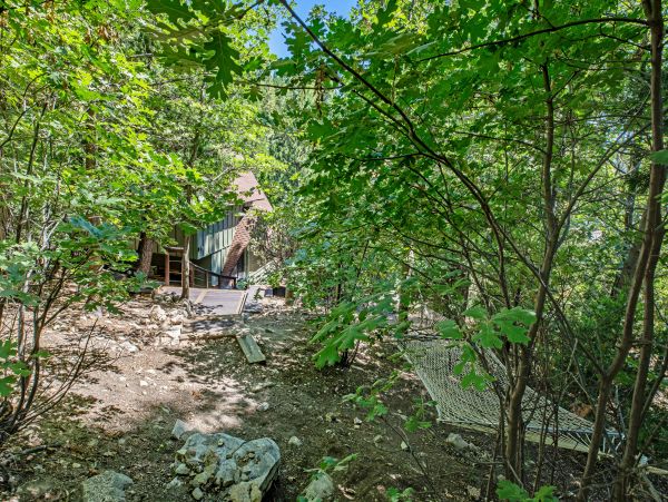 Big Bear Home 976166