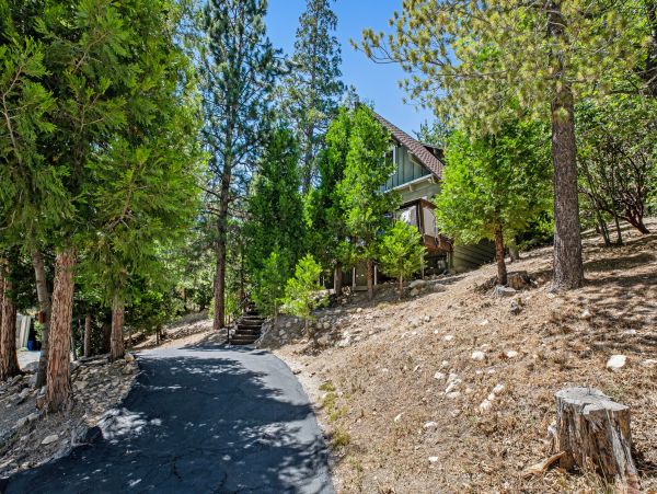 Big Bear Home 976166
