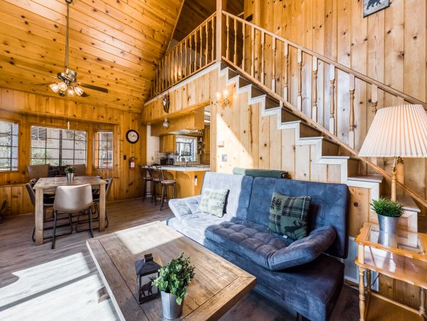 Big Bear Home 976172