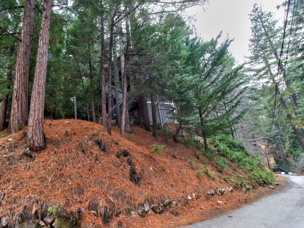 Big Bear Home 976175