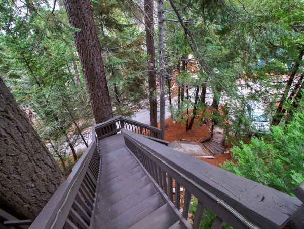 Big Bear Home 976175
