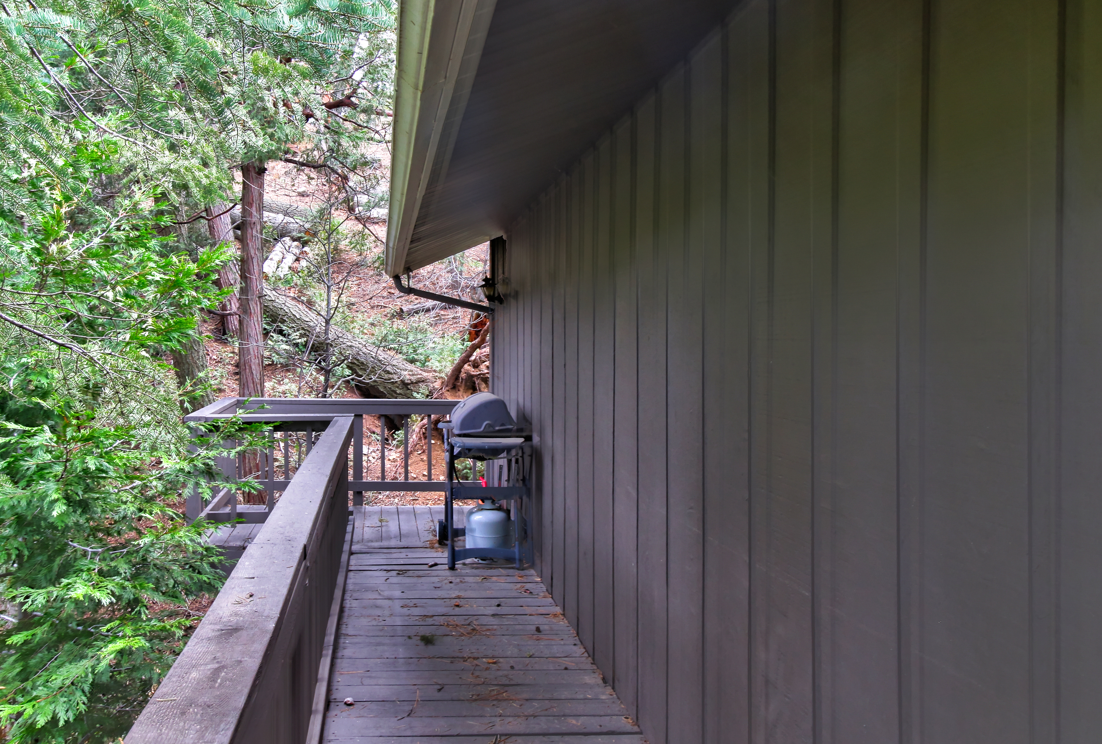 Big Bear Home 976175