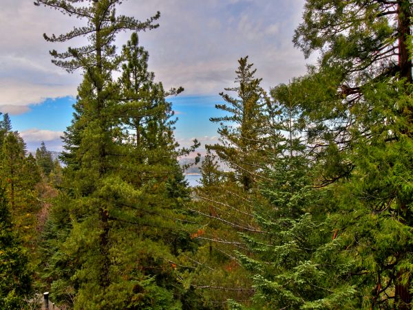 Big Bear Home 976175