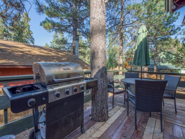 Big Bear Home 976176