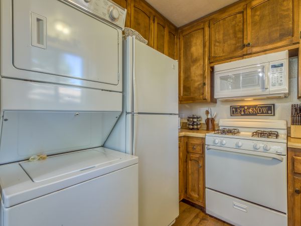Big Bear Home 976176