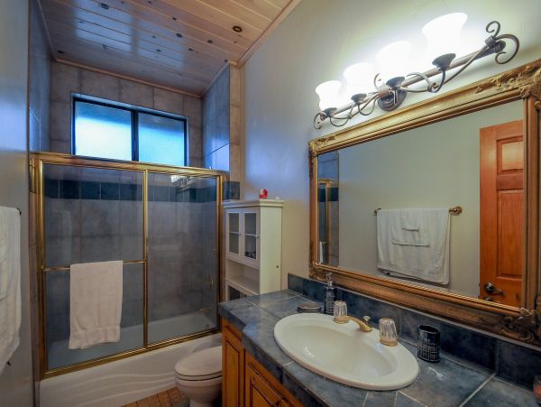 Big Bear Home 976177