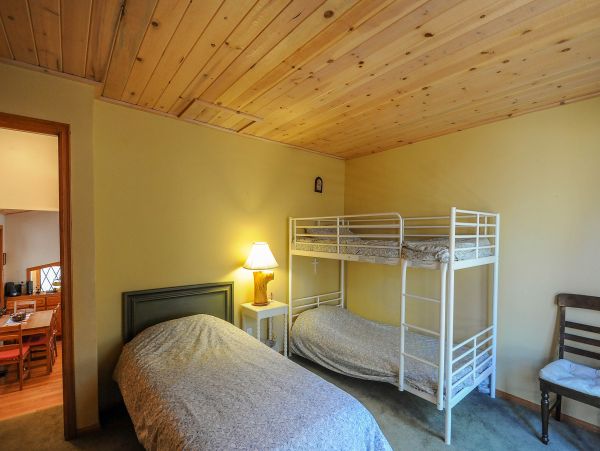 Big Bear Home 976177