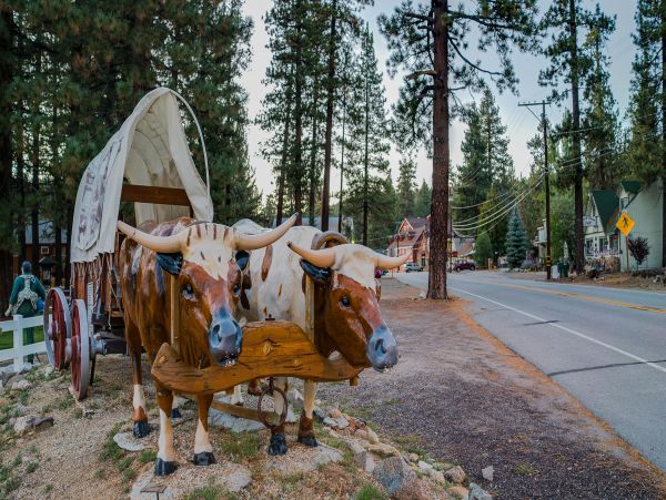 Big Bear Home 976177