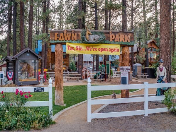 Big Bear Home 976177