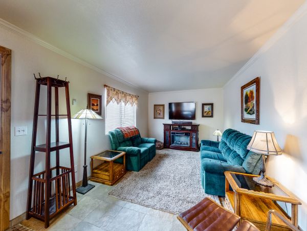 Big Bear Home 976179