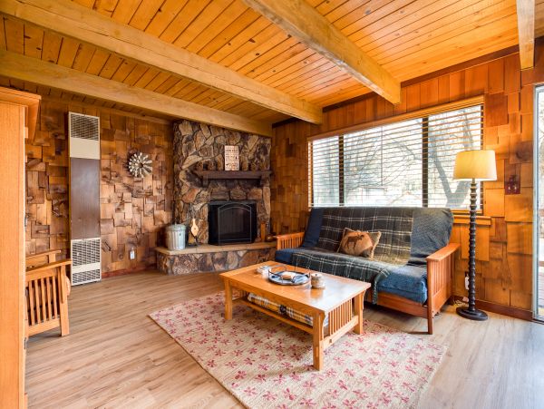 Big Bear Home 976180